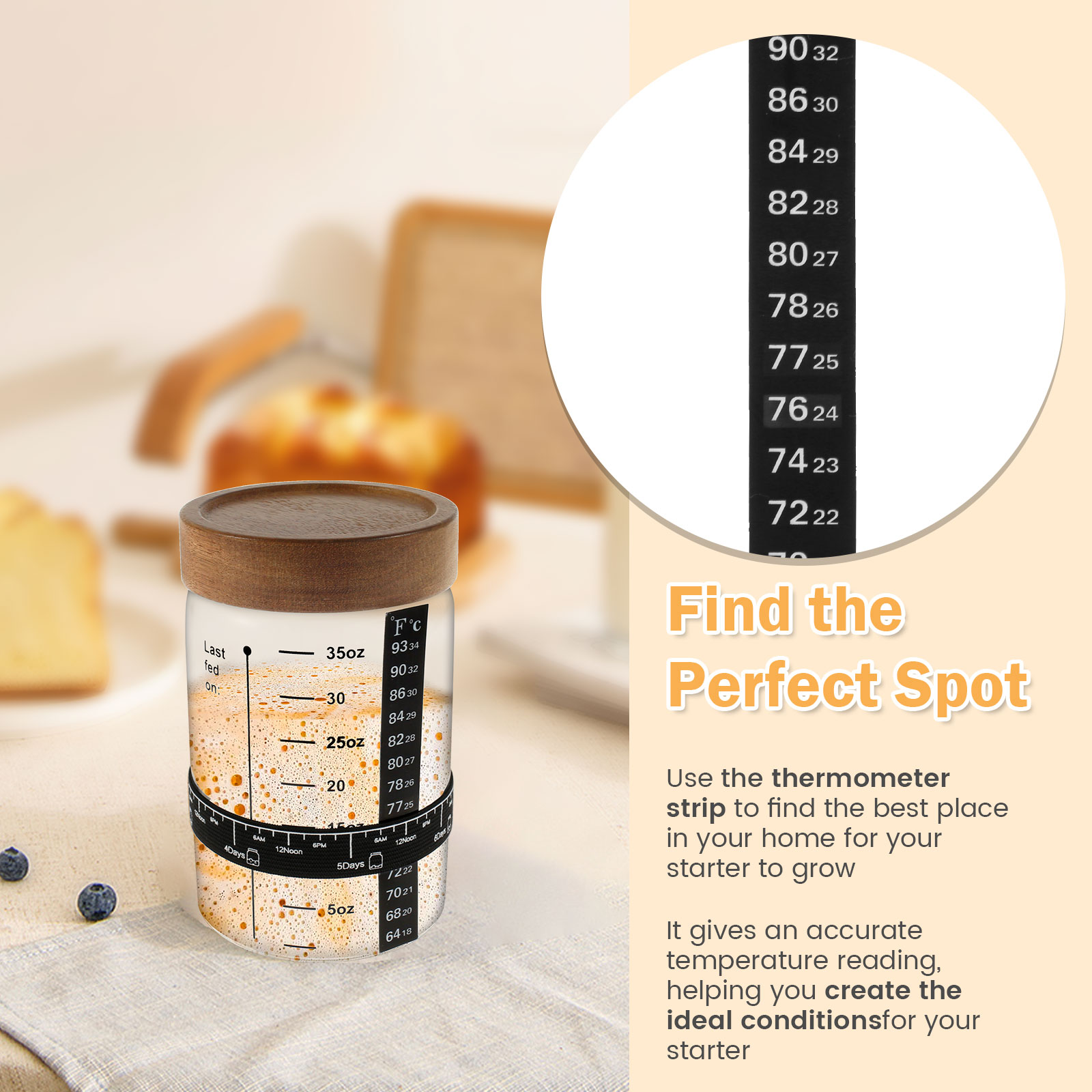 Kit de frasco inicial de massa - Kitchen Baking Kit avaliação e preço